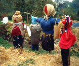 Gesellschaft für Gartenbau und Therapie - Angebot und Ziele Gesellschaft für Gartenbau und Therapie - Angebot und Ziele