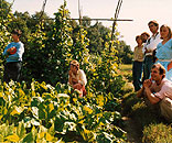 Gesellschaft für Gartenbau und Therapie - Termine Gesellschaft für Gartenbau und Therapie - Termine